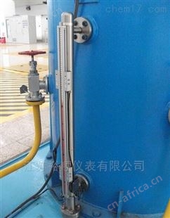储油罐磁翻板液位计
