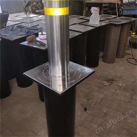 择众制造219600自动升降柱 道路设施防撞柱 不锈钢路桩欢迎选购