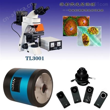 TL3001显微镜TL3001落射荧光显微镜