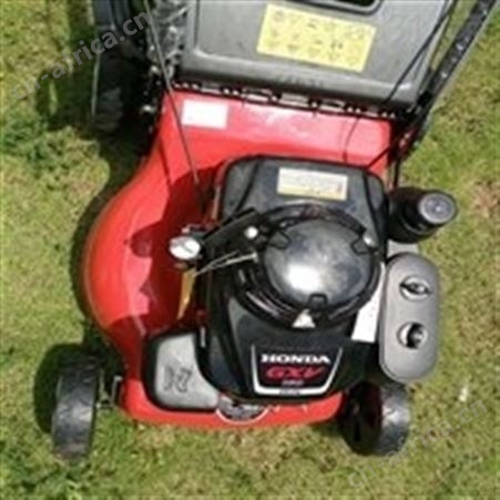 汇鑫厂销GXV160手推式割草机 20寸手推自走小型家用切草车
