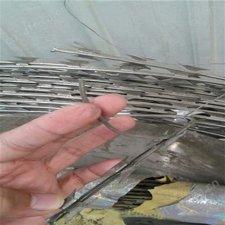 304不锈钢断电报警刀片刺网 包电钱防护网厂家