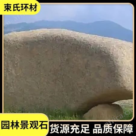 园林景观石 装饰假山石 数量可选 造型精美 欢迎来选购