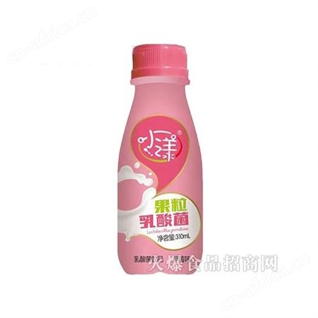 果粒乳酸菌草莓味310ml乳味饮料酸奶饮品商超渠道
