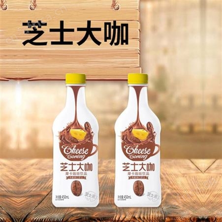 芝士大咖摩卡咖啡饮品450mlX15高颜值精品咖啡