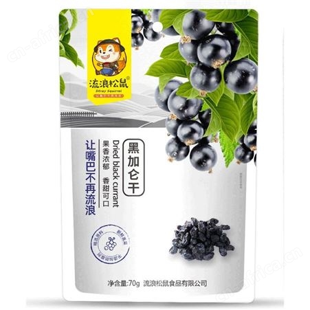 黑加仑干果干70g袋装不添加防腐剂新鲜原料休闲食品