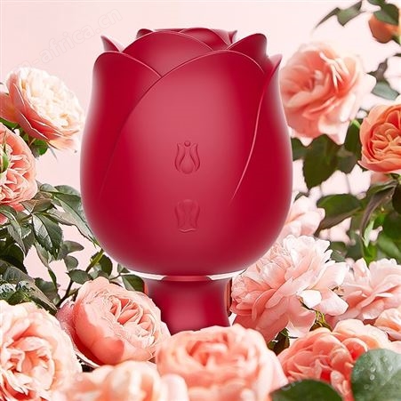 斯汉德玫瑰永生花系列吮吸拍打震动器具女用玩具