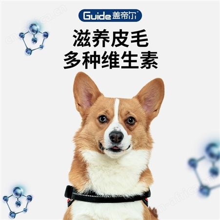 盖帝尔小型成犬狗粮泰迪柯基比熊法斗博美1.5kg10月龄以上