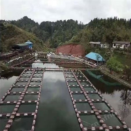 定做网箱养鱼网箱 有结网箱抬网不伤鱼 福利 钢结构养鱼网箱
