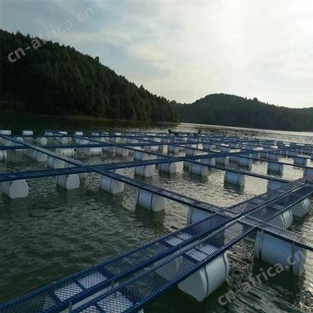 加厚泥鳅网箱 螃蟹暂养网箱 福利 泥鳅黄鳝养殖网箱