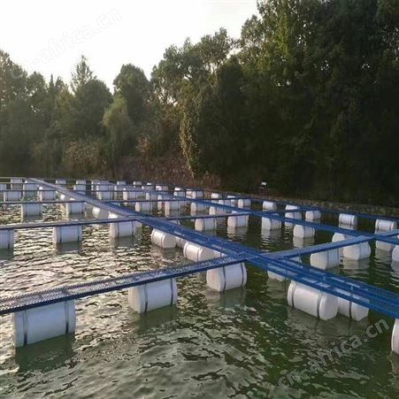 出售尼龙网箱 泥鳅黄鳝水产养殖防逃网箱 福利 10目加厚养殖网箱