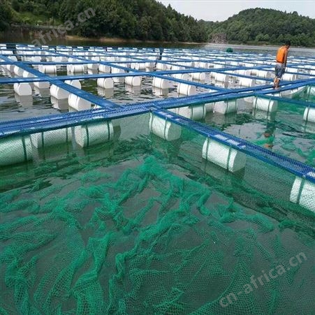 养鱼网箱批发 深海养鱼网箱 福利 钢结构养鱼网箱