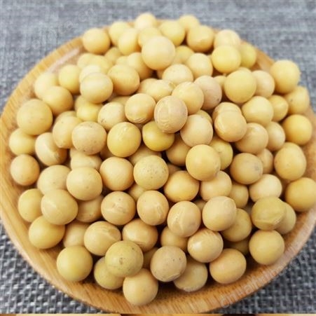 东北特色农家大豆订制批发 有机黄豆400g/盒代加工 和粮农业自有种植基地