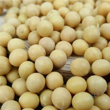 东北特色农家大豆订制批发 有机黄豆400g/盒代加工 和粮农业自有种植基地