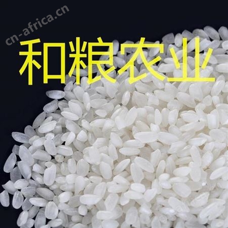 低价东北大米 黑龙江珍珠米陈米圆粒米批发 食堂用低端秋田小町工地学校企业团购便宜米[和粮农业]