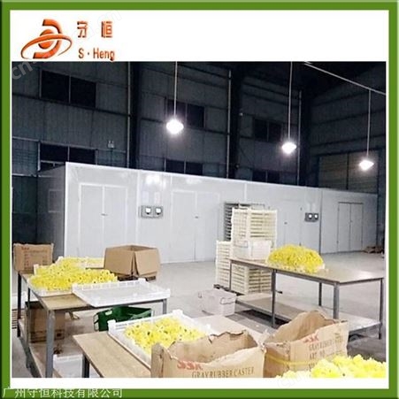 大型陈皮烘干设备 多功能陈皮脱水*干燥机
