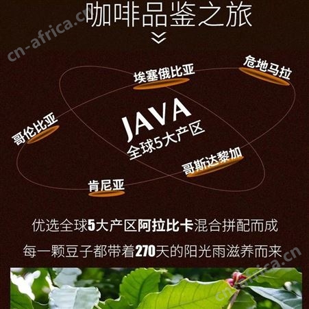 java 万事达意大利口 咖啡豆