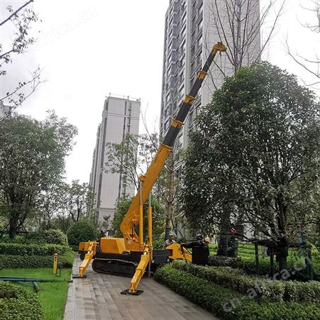 移动小型吊机可遥控操作源兴全地形厂房履带蜘蛛吊车