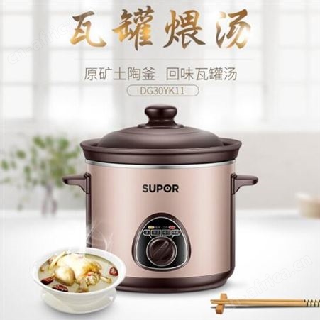 苏泊尔(SUPOR) 电炖锅电炖盅煲汤锅炖汤锅DG30YK11