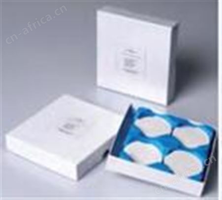 美国 MS Technology玻璃纤维（GF）圆片膜