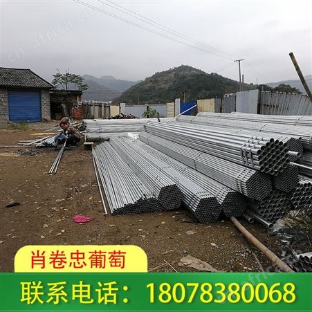 广西南宁草莓园搭建厂家常年承接上千家