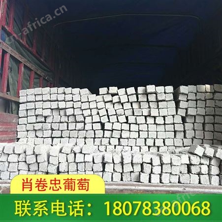 广西桂林猕猴桃架搭建需根据实际情况选择适宜的架材