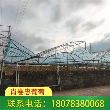 防城港Po葡萄膜-耐老化强度高！