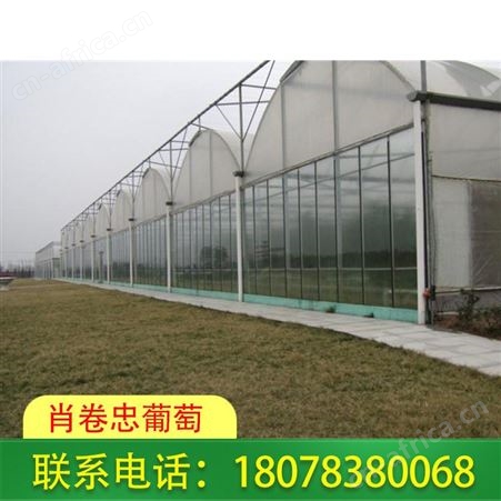 广西钦州花卉大棚-连栋温室大棚可按需设计