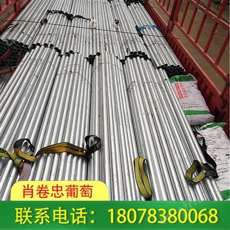 广西大棚公司承接荔浦各种钢结构连栋大棚
