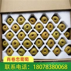 广西桂林肖卷忠葡萄种植高品质黄金奇异果，报价合适