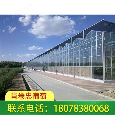 广西养殖大棚搭建_柳州连栋温室大棚抗压性高