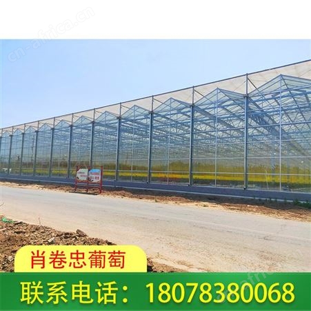 广西养殖大棚搭建_柳州连栋温室大棚抗压性高