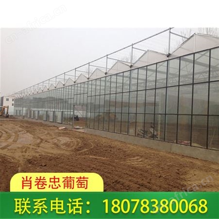 广西养殖大棚搭建_柳州连栋温室大棚抗压性高