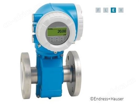 E+H 电磁流量计 Proline Promag P 300