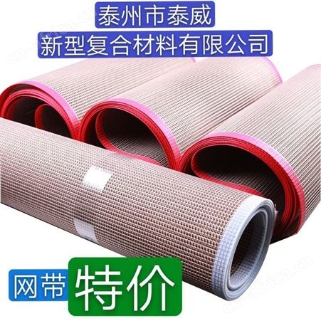侨尔瑞厂家胶印机 涂布机铁氟龙网带输送带 PTFE食品级纤维网格带 传送带
