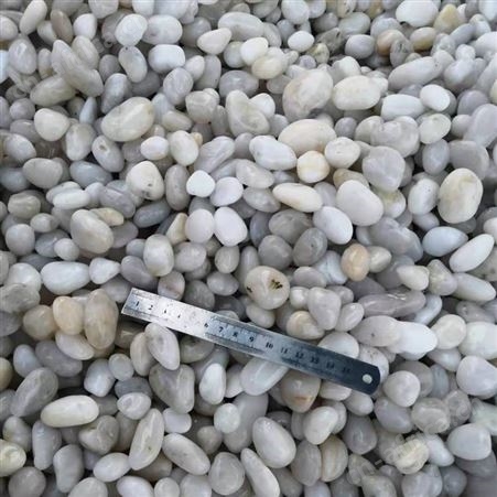 水处理砾石 变压器滤油用石头 大型鹅卵石产地