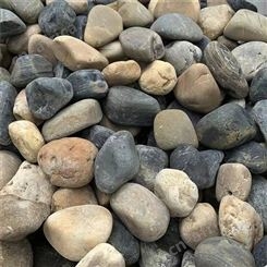 白色水洗砾石 鹅卵石盆景 欢迎询价
