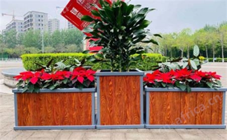 铝合金花箱