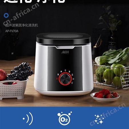 ACA 洗菜机家用超声波净化果蔬肉类清洗农残净化杀菌自动食材消毒