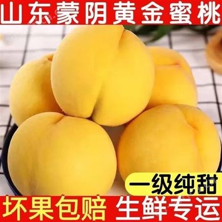 山东蒙阴纯甜黄金蜜桃子水密桃软无毛油脆蟠桃黄心大黄桃溢盈