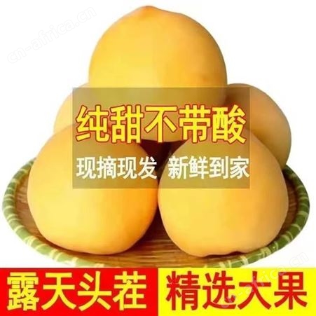 山东蒙阴纯甜黄金蜜桃子水密桃软无毛油脆蟠桃黄心大黄桃溢盈