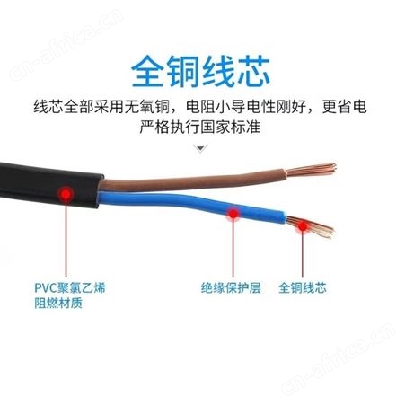 电动工具电源线两芯带插头电源线电源延长线带插头两孔 巧夺