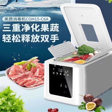 果蔬消毒机 肉类解毒机 食品净化机 多功能蔬菜消毒清洗机 巧夺
