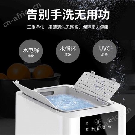 果蔬消毒机 肉类解毒机 食品净化机 多功能蔬菜消毒清洗机 巧夺
