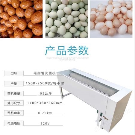 巧夺 洗蛋机 全自动蛋类清洗机器 尼龙刷辊清洗机 鸡蛋鸭蛋清洗机