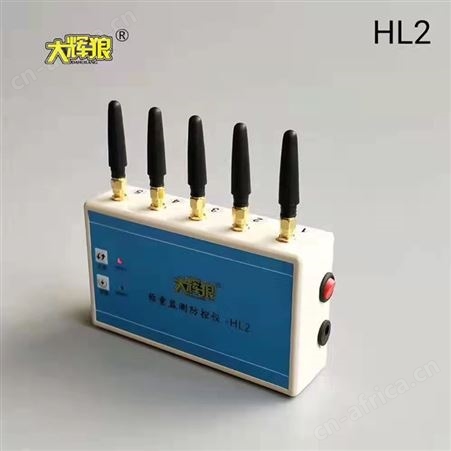 地磅检测防控仪HL2 HL6 HL7 HL8 电子汽车衡防控仪监测防控仪巧夺