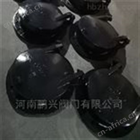 铸铁拍门