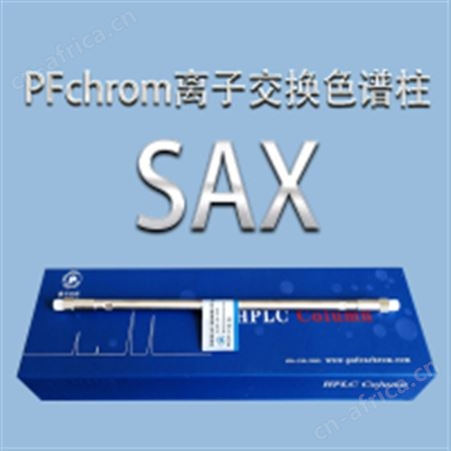 普分分析PFchrom SAX 强阴离子交换色谱柱