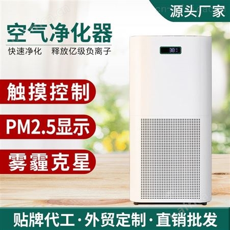 负离子空气净化器 室内家用商用净化器 会销礼品跨境爆款