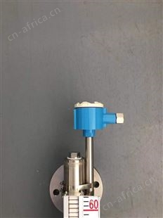国产磁翻板液位计哪家好