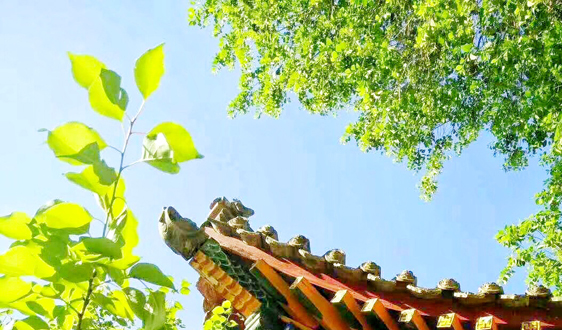 开封市2019年非电行业提标治理方案